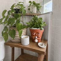 Handmade Smoking Plant Pot